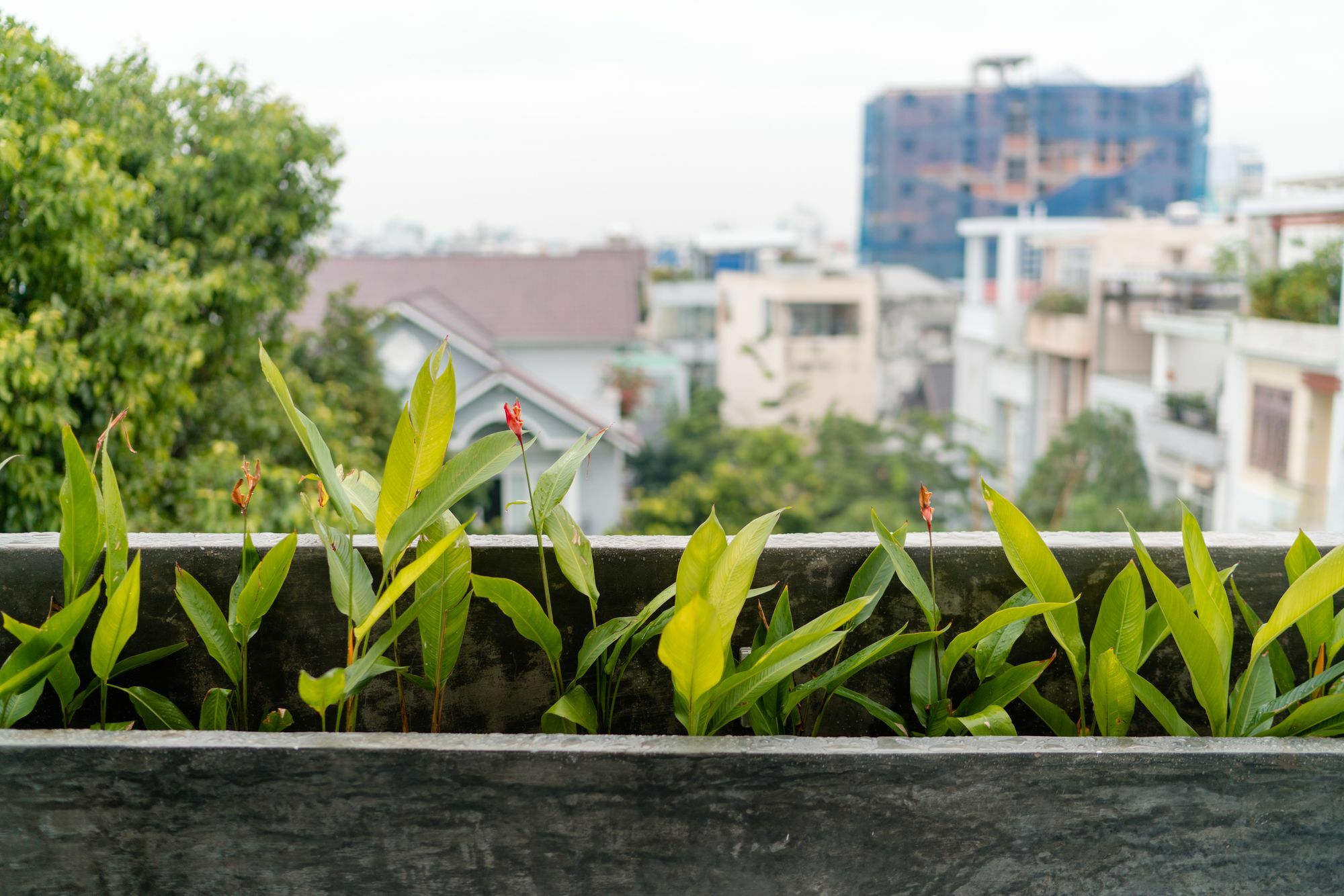Iam Saigon Homestay 호치민 외부 사진